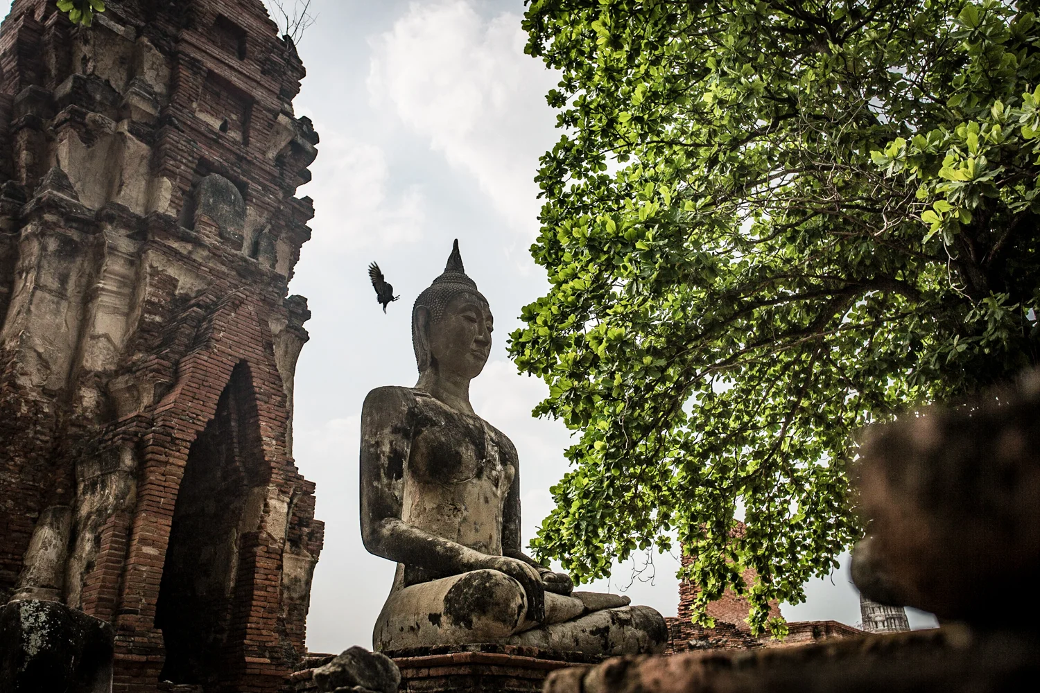 A statue of the Buddha at Wat Maha That, built during the 14th century. 
