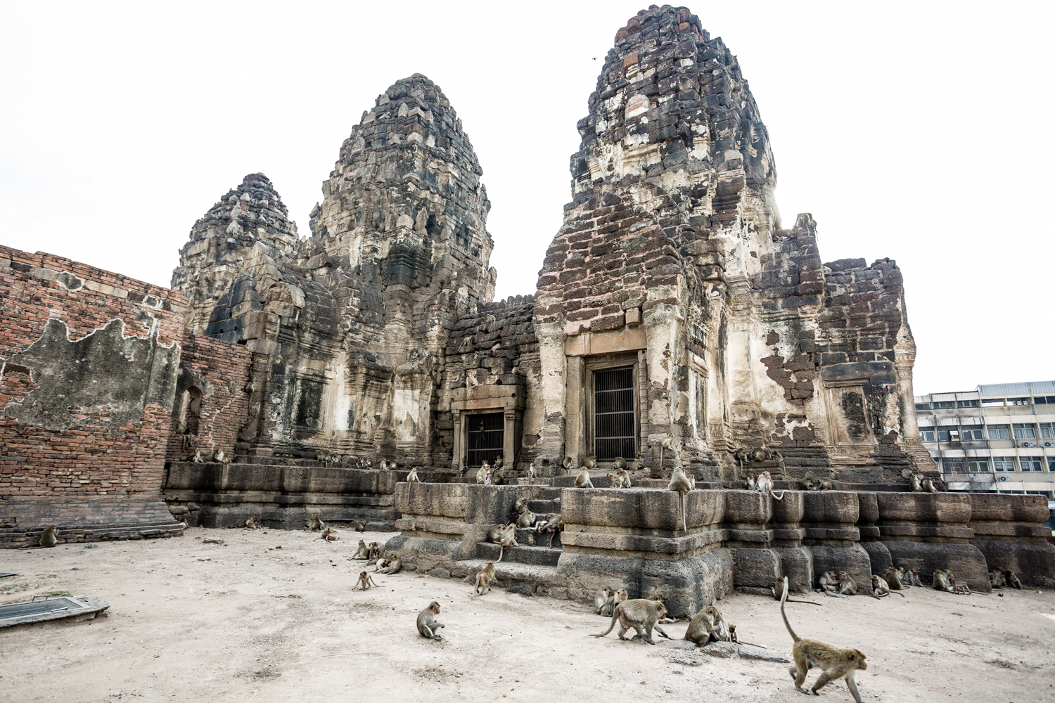  The Prang Sam Yot Temple is home to a resident troop of hundreds of monkeys.&nbsp; 