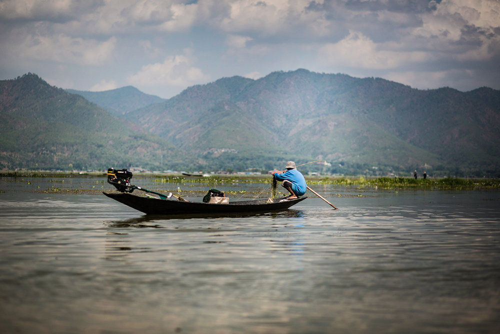  A fisherman on Inle Lake. The lake and area around it is a national reserve containing a number of endemic species.&nbsp; 