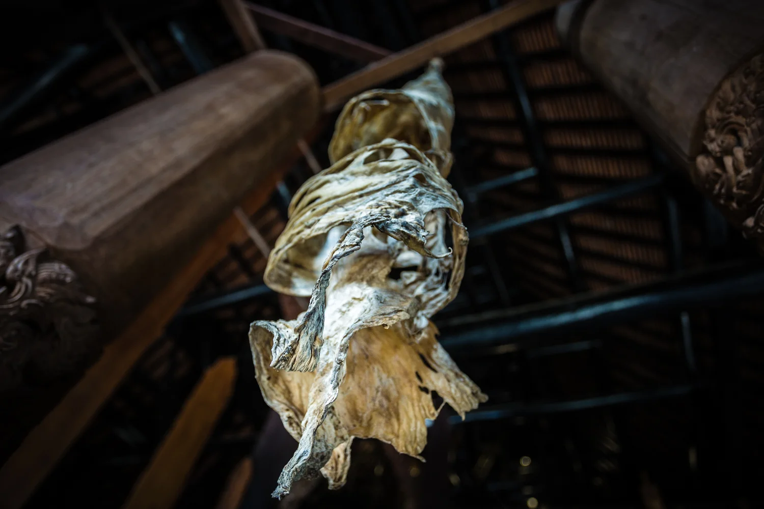 A twisted animal skin hanging from the ceiling. 
