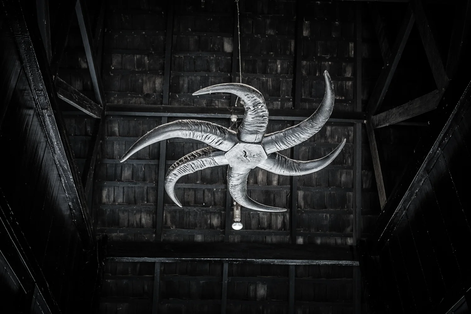 Fan made from horns.