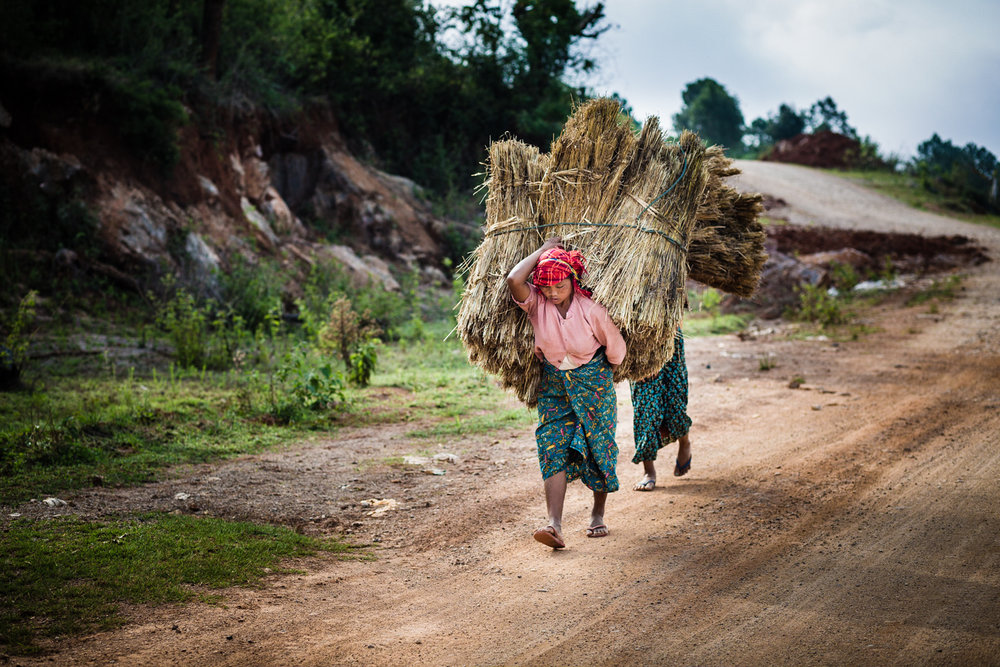  Women carrying transporting of hay near &nbsp;Htee Their village.&nbsp; 