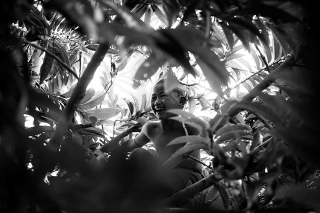 Photographer: Iñigo Echenique @allthesehumans Hsipaw, Burma (2017). #travel #allthesehumans #boy #jungle #asia #burma #myanmar