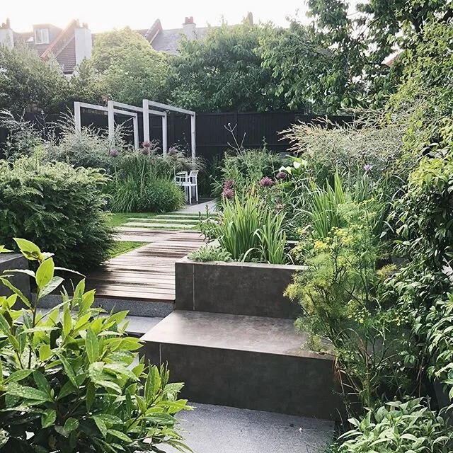 It&rsquo;s been a good week for photos,  switched on my phone this morning to find I&rsquo;ve been sent more update photos from a client of how their new garden&rsquo;s been doing during lockdown. This one&rsquo;s local to me so will be able to visit