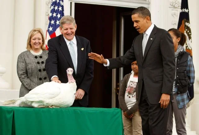 After this week's the election's results, this turkey is now hoping his pardon is overturned and instead wishes to be put out of his misery asap. He clucks "Please, Obama, make it swift and painless"