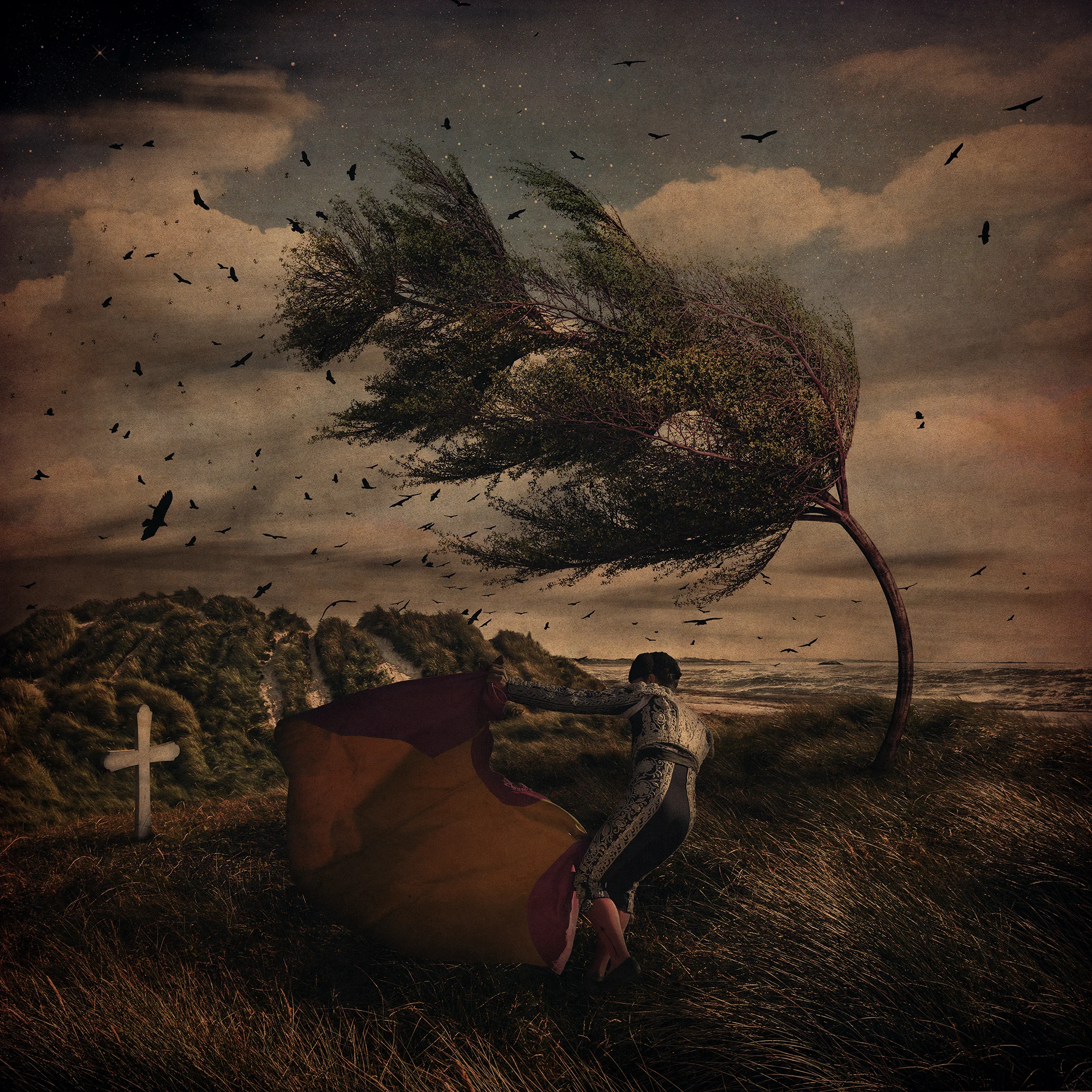The Storm