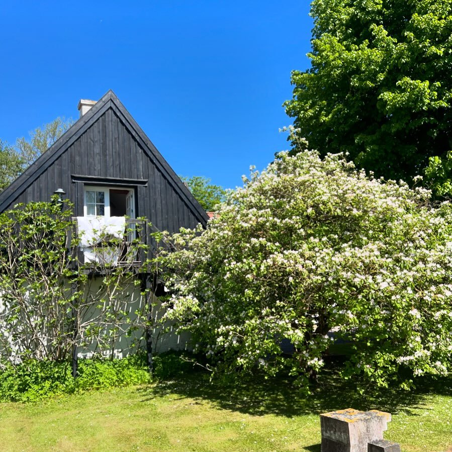 Kv&aelig;den blomstrer og temperaturen ligner h&oslash;jsommer, huset fuld af g&aelig;ster og alt er godt #bedandbreakfast #sunshine #birdsaresinging #summerweather #sams&oslash; #vadstrup1771 #cafe #gallery #welcome