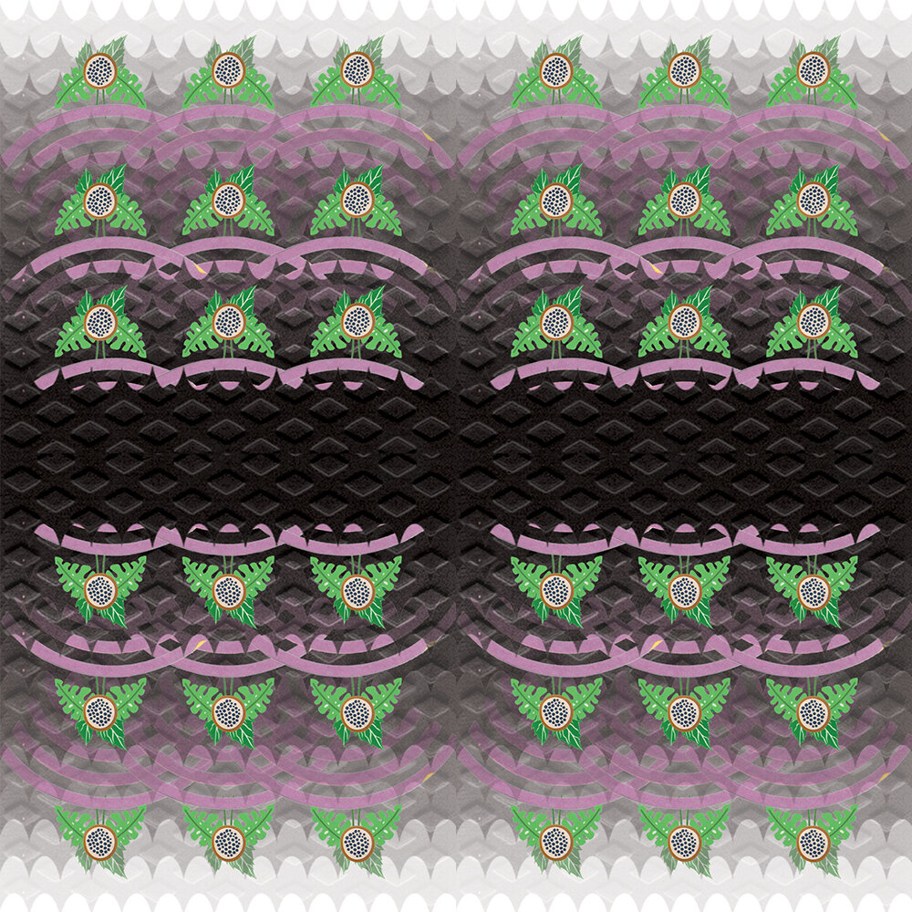 Salmon Seas 2021 Digital collage (scanned material: fresh salmon packaging, grape