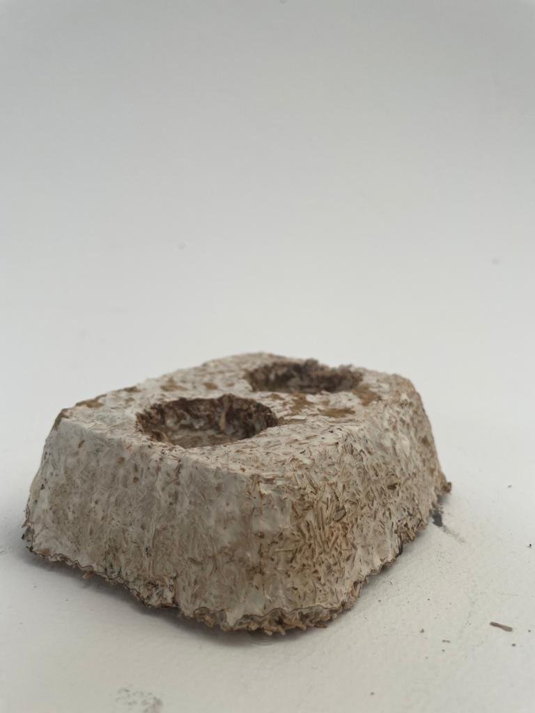 WhatsApp Image 2023-07-16 at 00.56.43 (5).jpeg