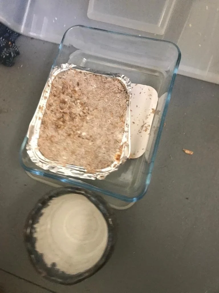 WhatsApp Image 2023-07-16 at 00.56.43.jpeg