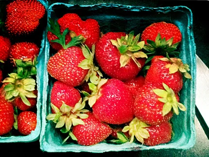 Epicurious - Woodland Gardens Strawberries 