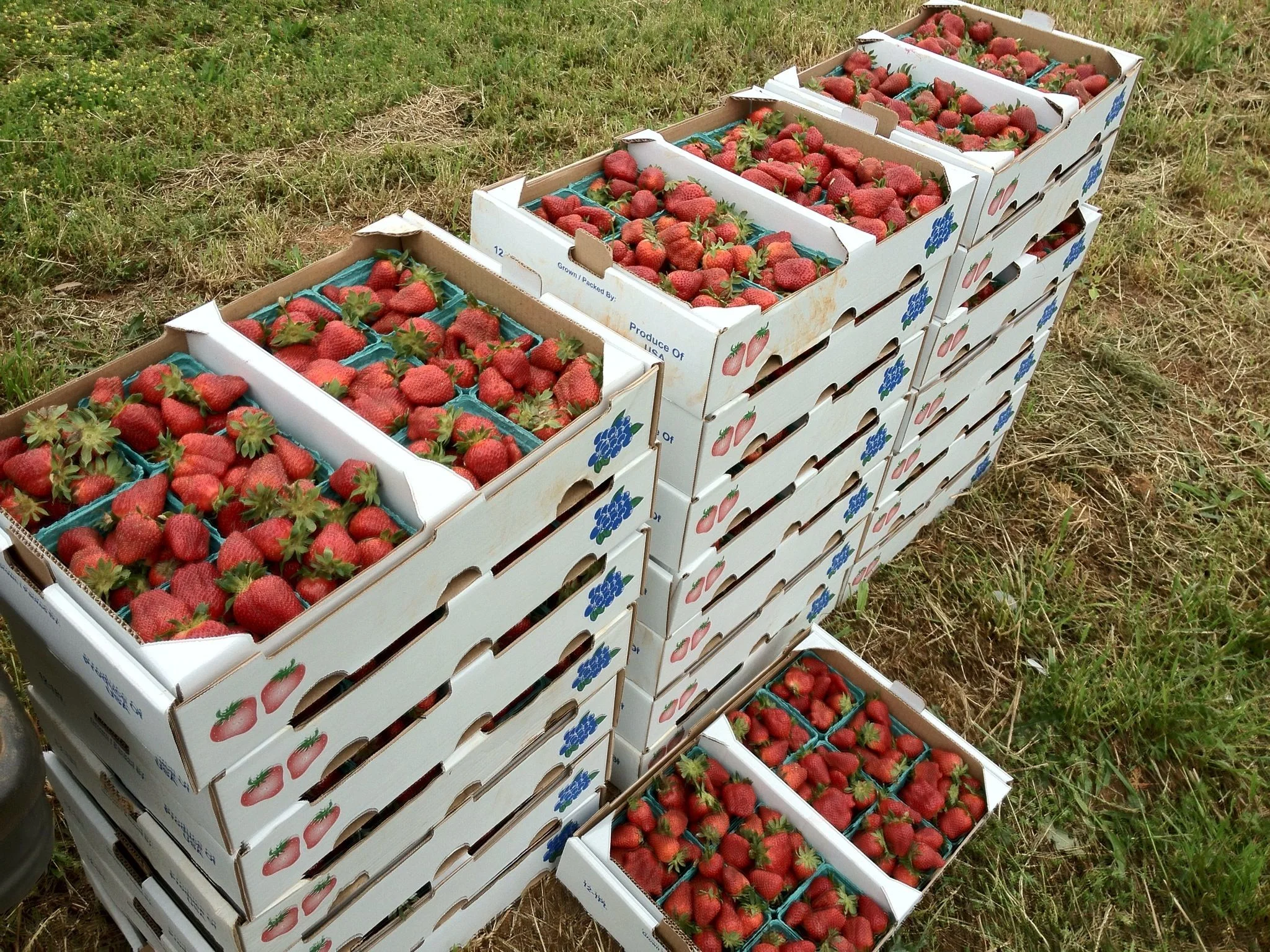 Farm Tour for Box Members
