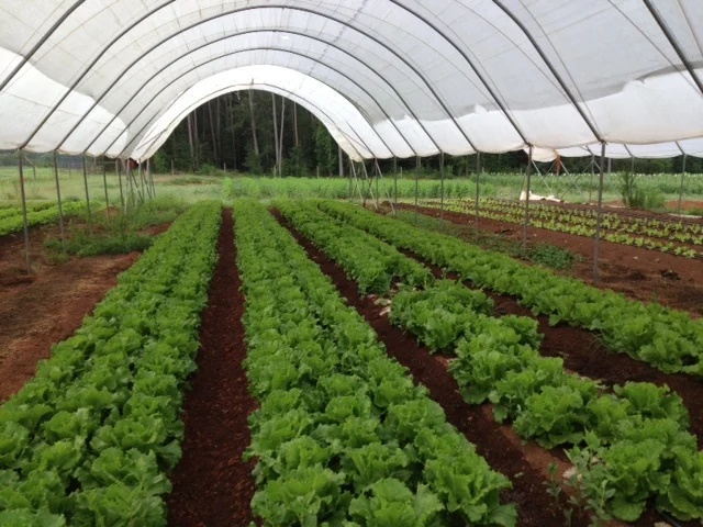 Rain and Washington State