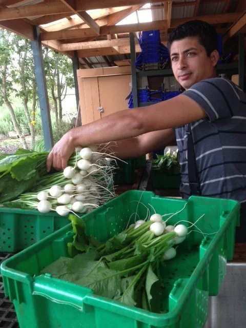 Edwin, Mustard Greens and Cabbage
