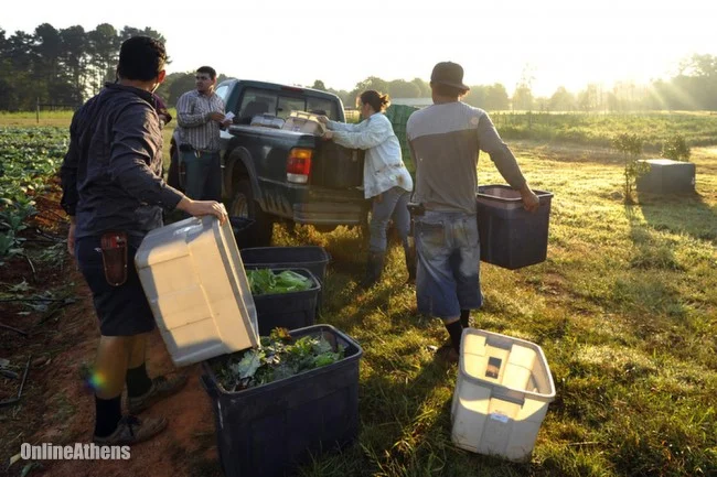 Athens Banner Herald Article