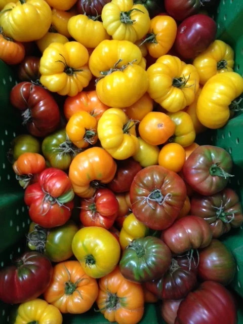 May 9, 2014- Heirlooms!