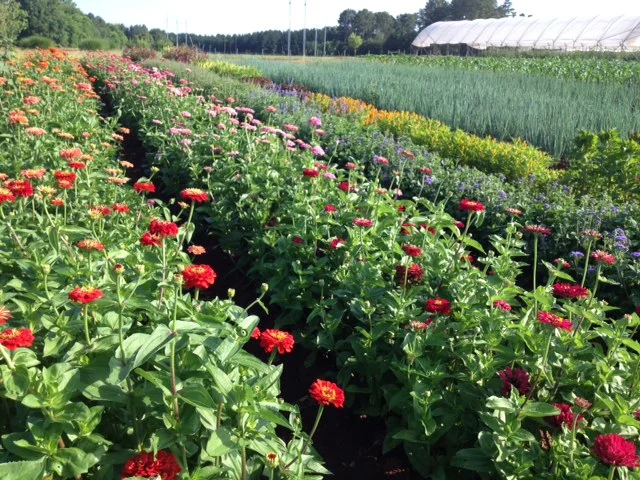 July 16, 2014- Summer Thoughts