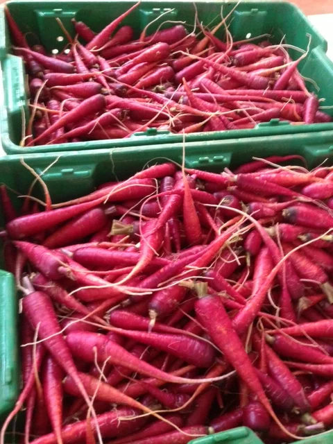 Carrots-Purple-Haze.jpg