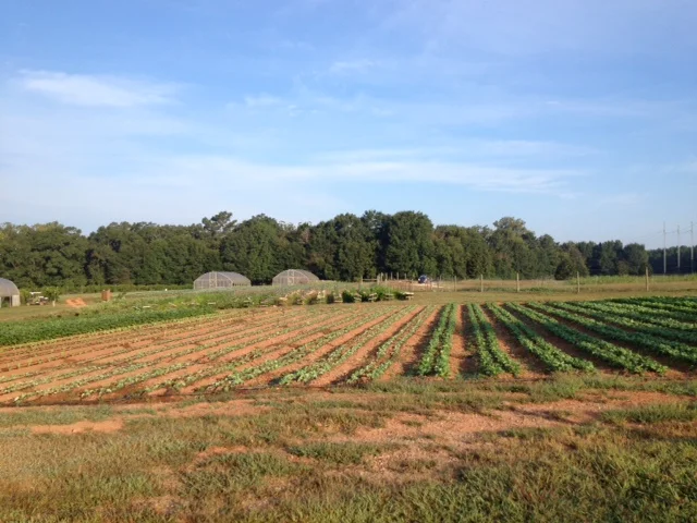 Early Fall at the Farm