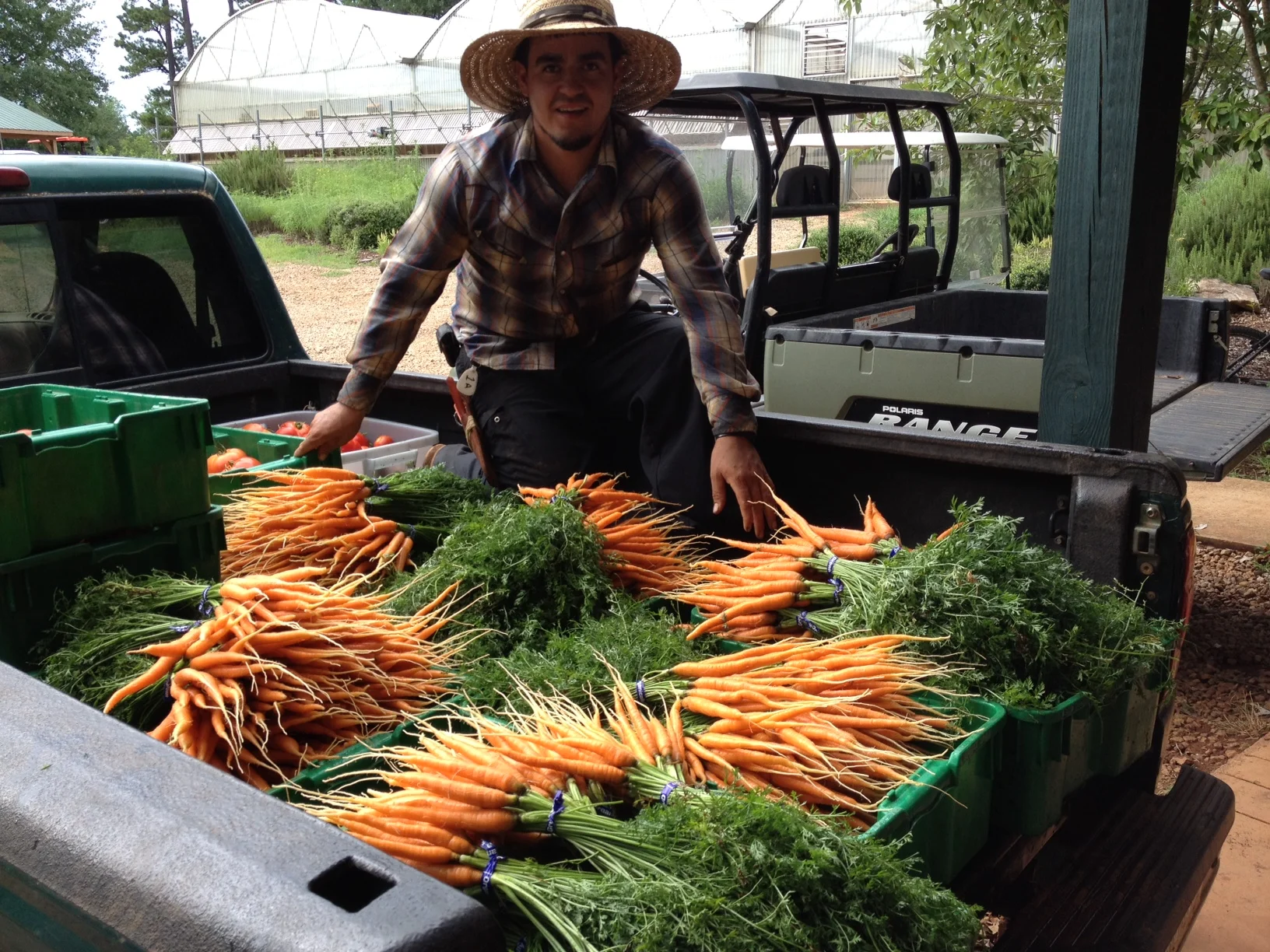 Orlando with Carrots