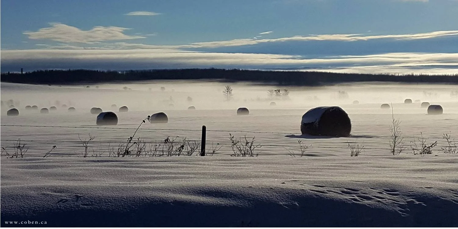 How to Reduce the Fog Around Growth Planning
