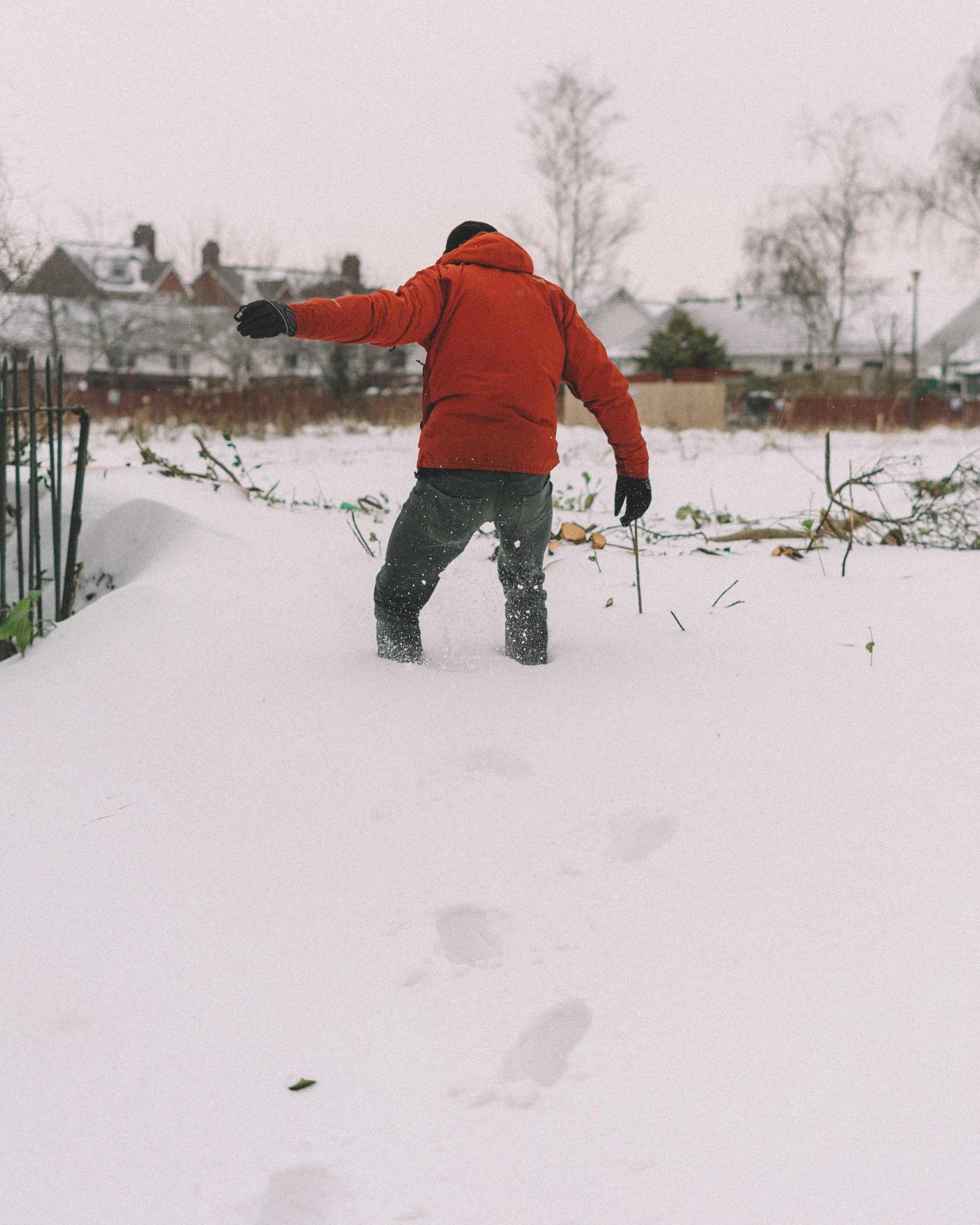 Snow Day