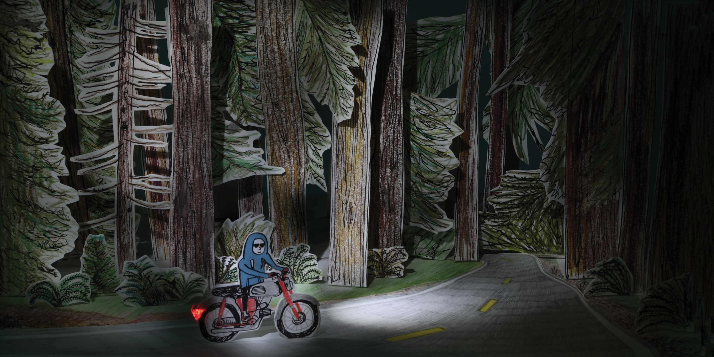 double+page+forest+bike.jpg