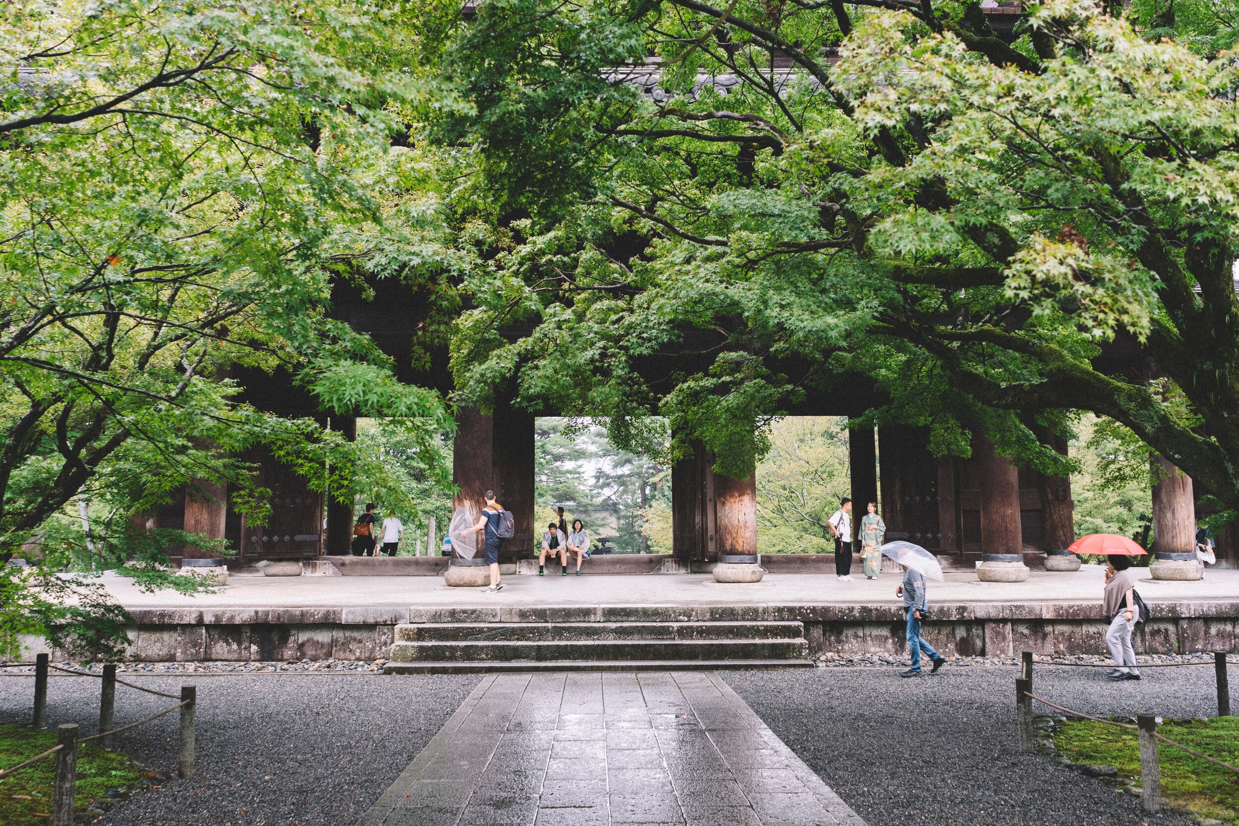 DSC04141.jpg