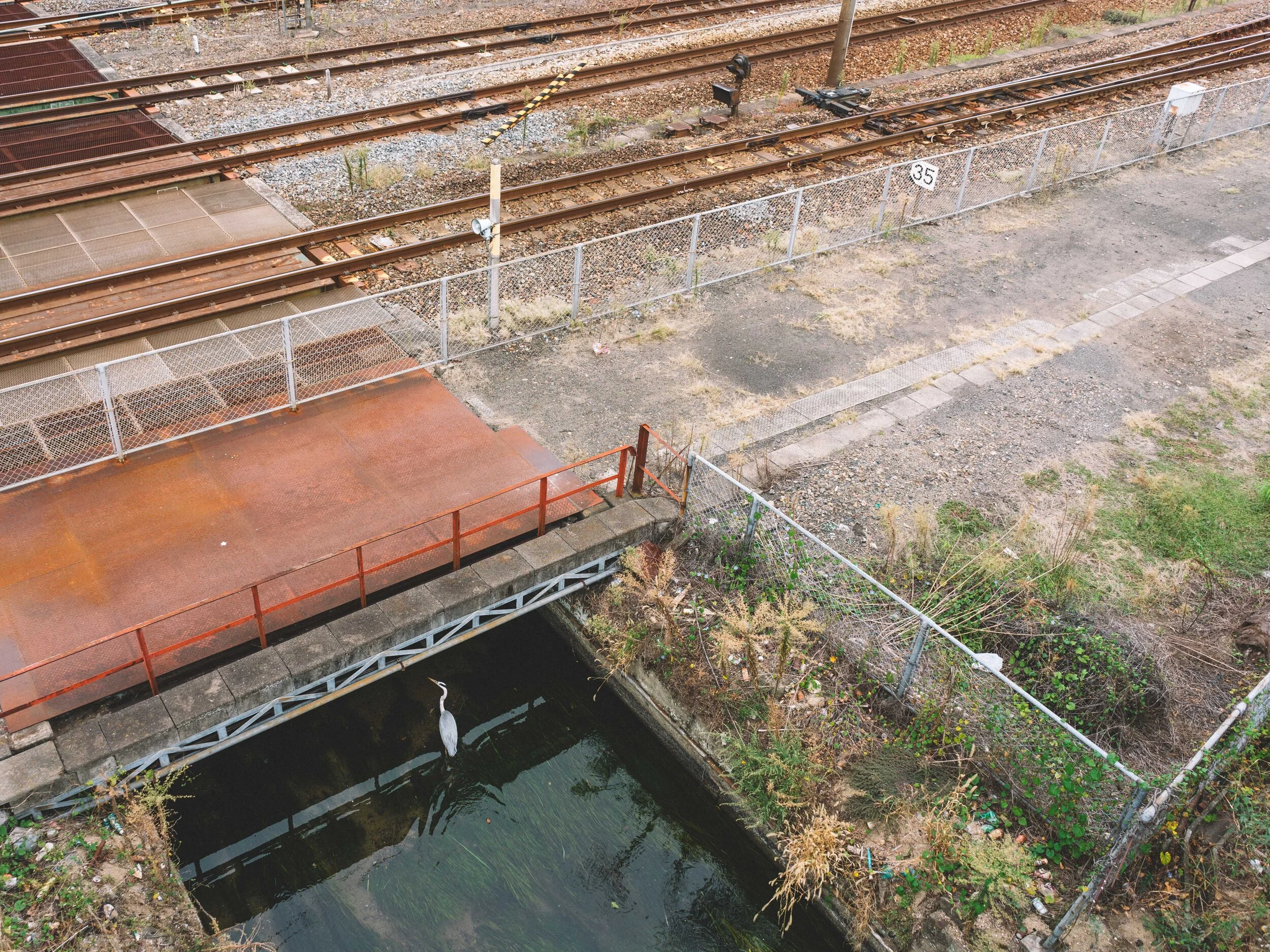 DSC06586.jpg