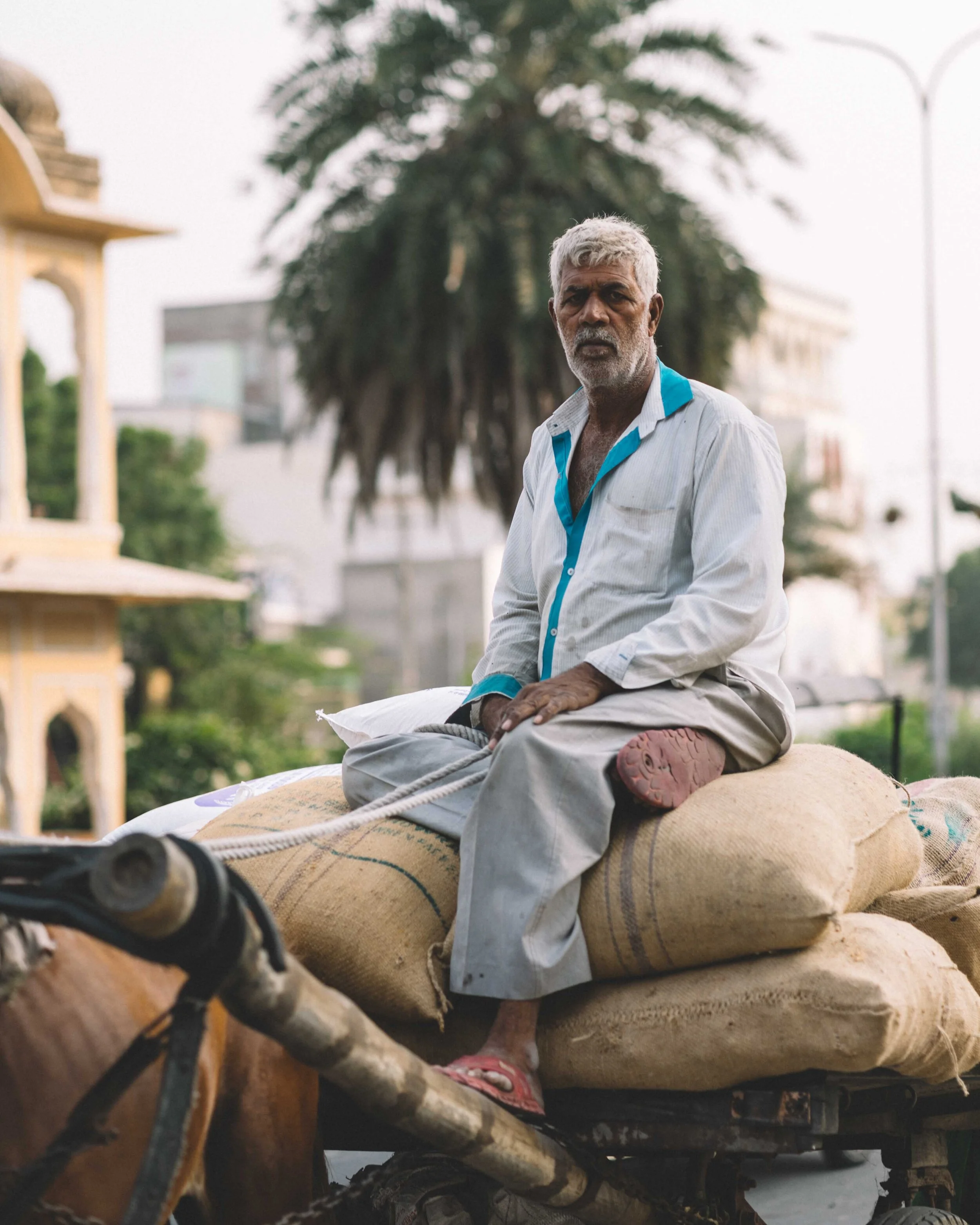 India - Jaipur: Streets Part 1