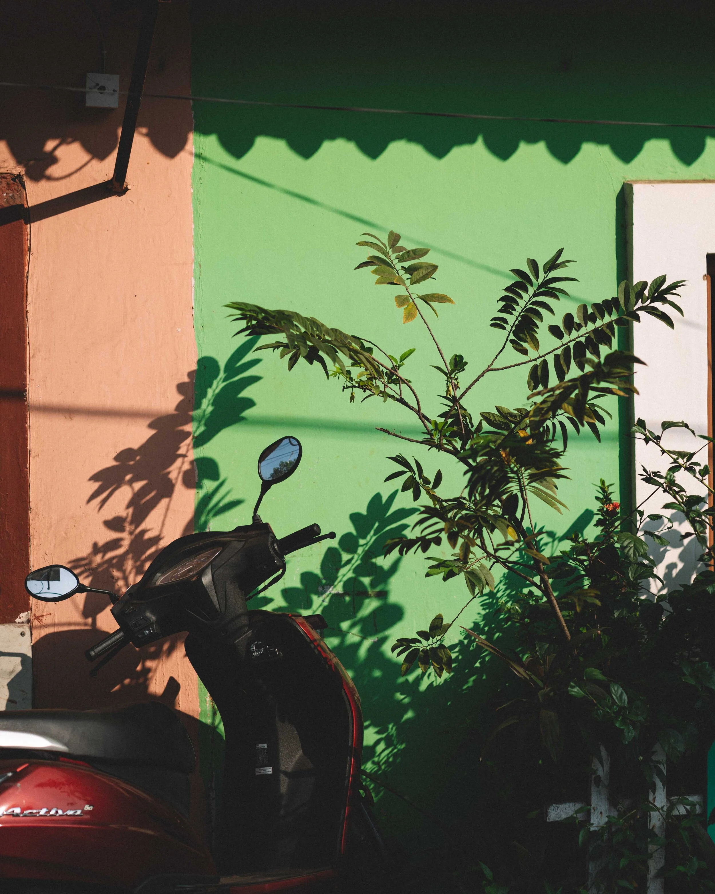 India - Goa: Panaji