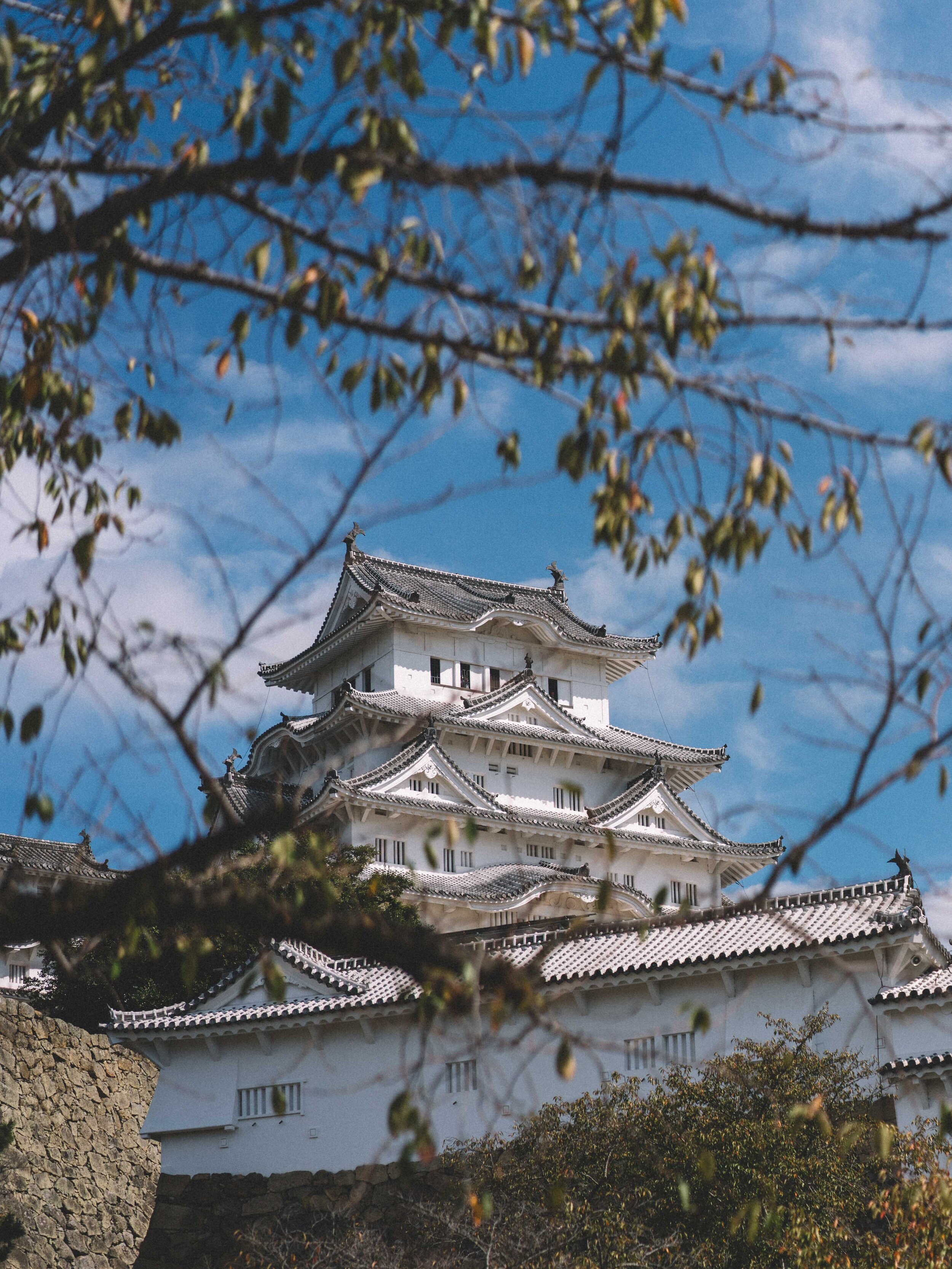 DSC06110.jpeg