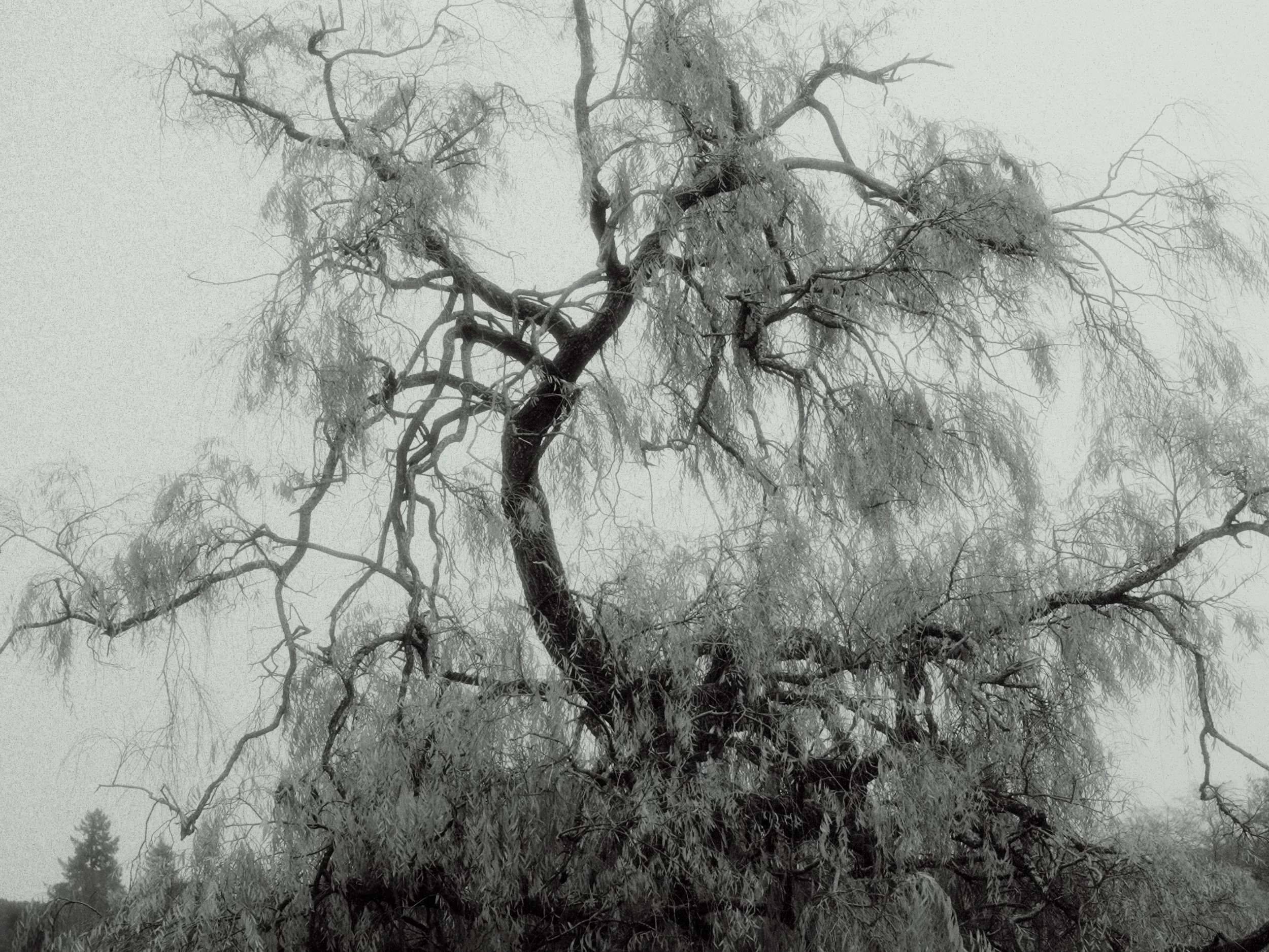 Sequence 01.00_01_15_21.Still015.jpg
