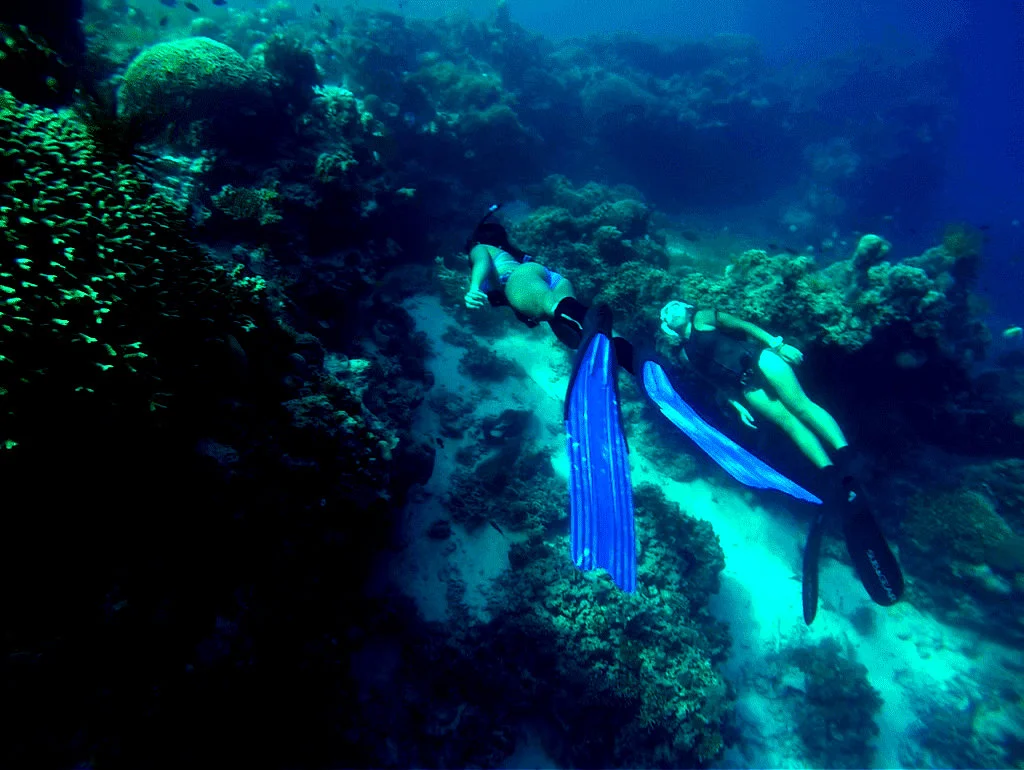 Freedive-in-Kurma-2-1024x770.jpg