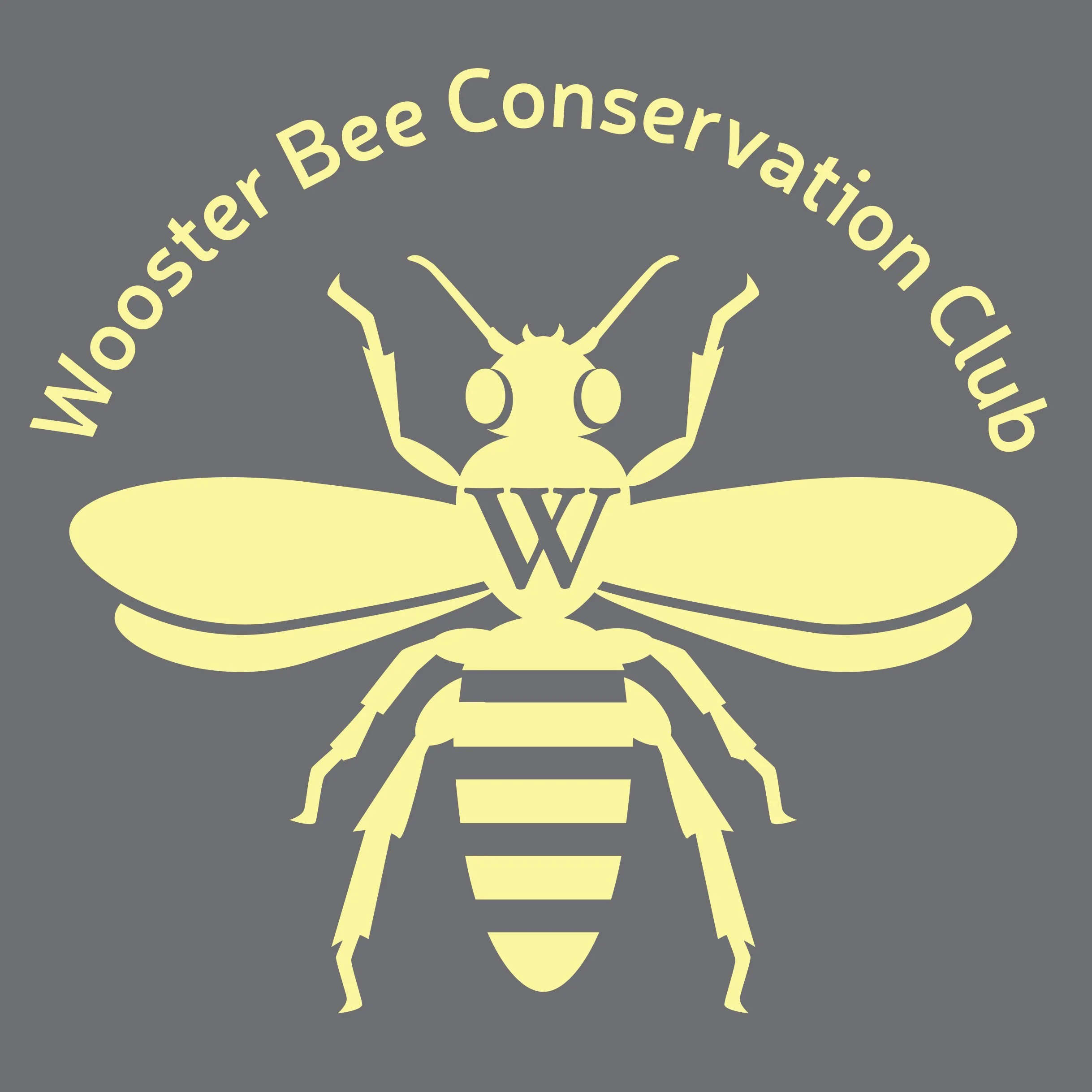 bee shirtALTol2.jpg