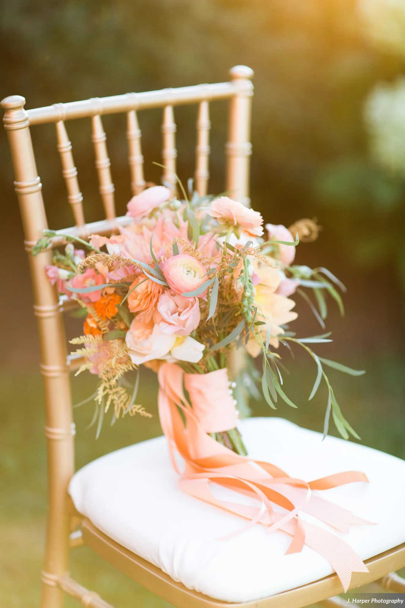 Hartnett_Linsley_J_Harper_Photography_jharperphotography2015500.jpg