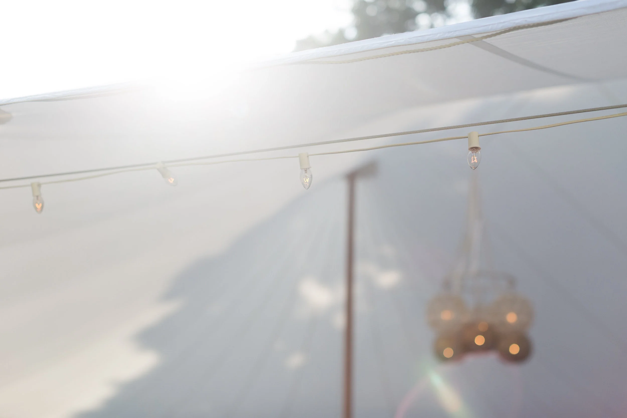 Emily Errik s 10th Anniversary Party-The Details-0191.jpg