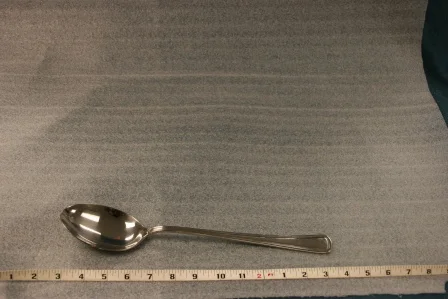 Serving Spoon 12"$3.00