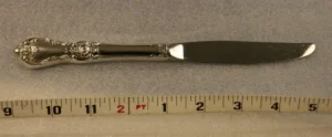 Silver Plate Vanessa Dinner Knife$0.70