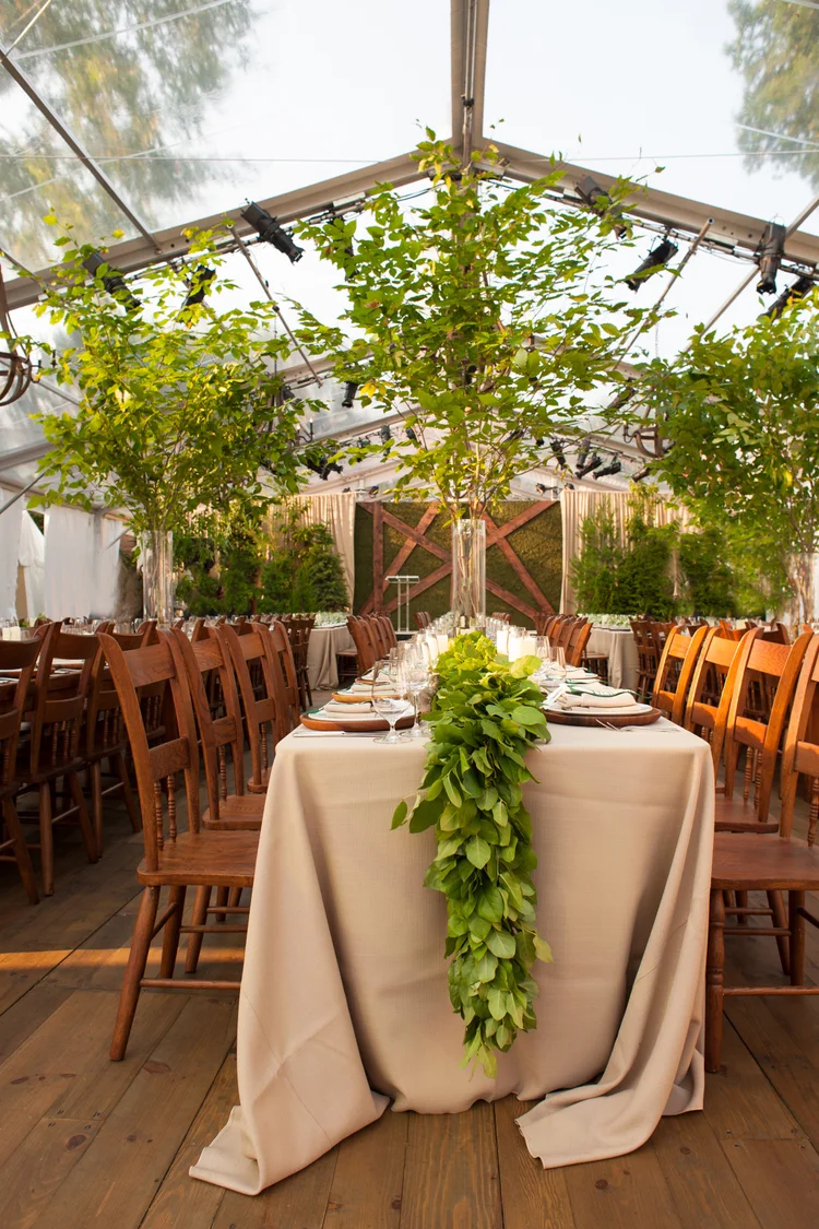 Clear top tent with birch trees at a Dartmouth event in Hanover NH