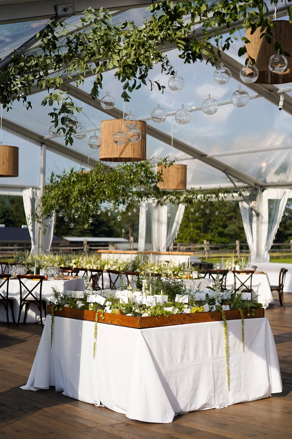 Clear-top tent with suspended greenery over a head table