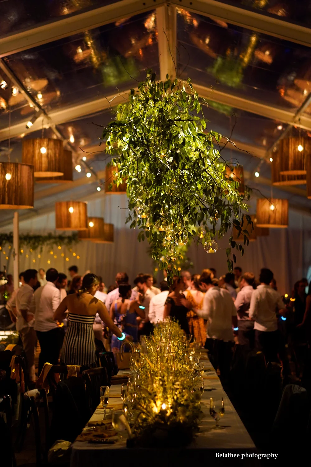 Evening reception under a clear-top tent with string lighting