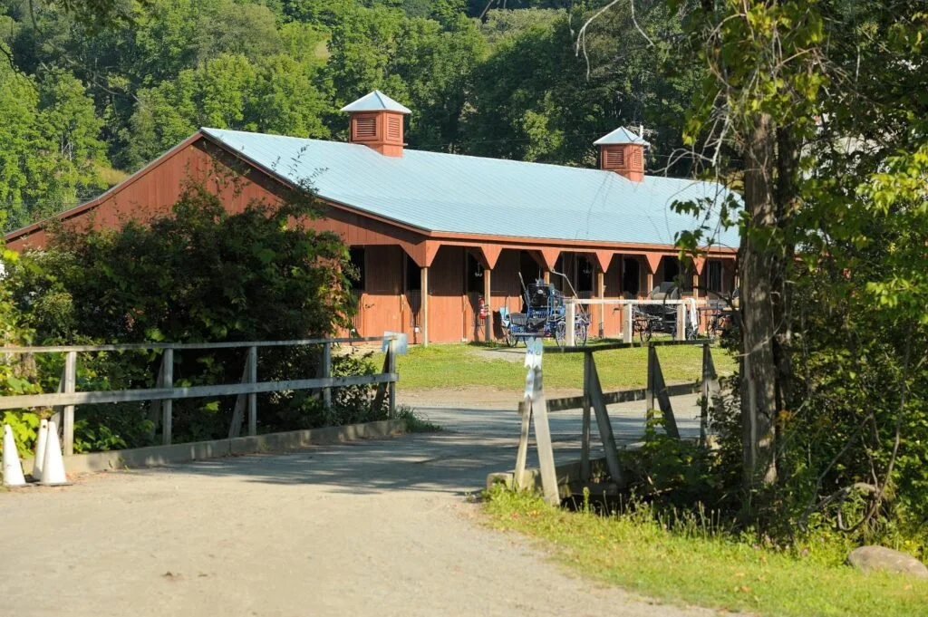 Green Mountain Horse