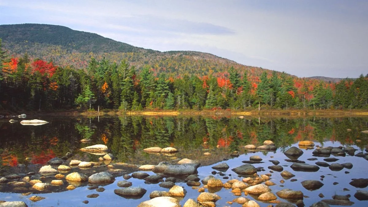Autumn foliage in the White Mountains, New Hampshire