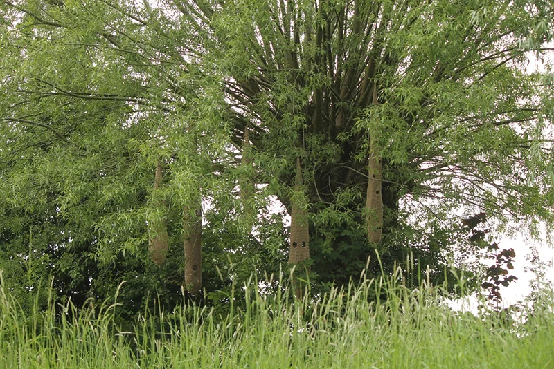 2014 Installatie nestvormen De Garst - Jute touw