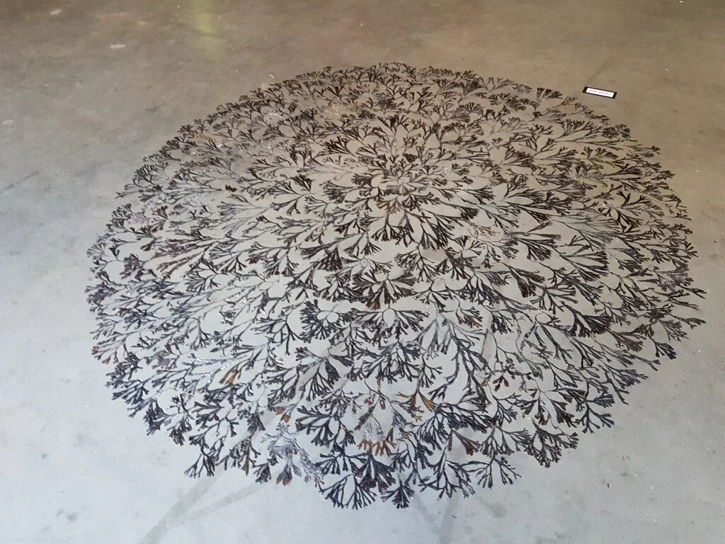 2019 Installatie op vloer 'Imperfect'