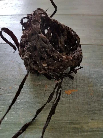 2019 Nestobject