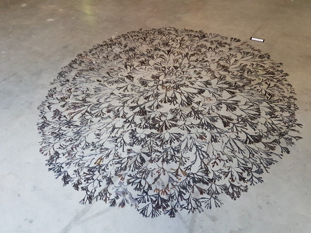 2019 Installatie 'Imperfectie'