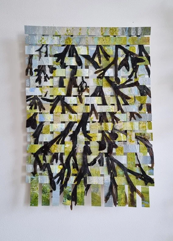 024 serie Grondwerken - ( 26x25cm) met blaaswieren
