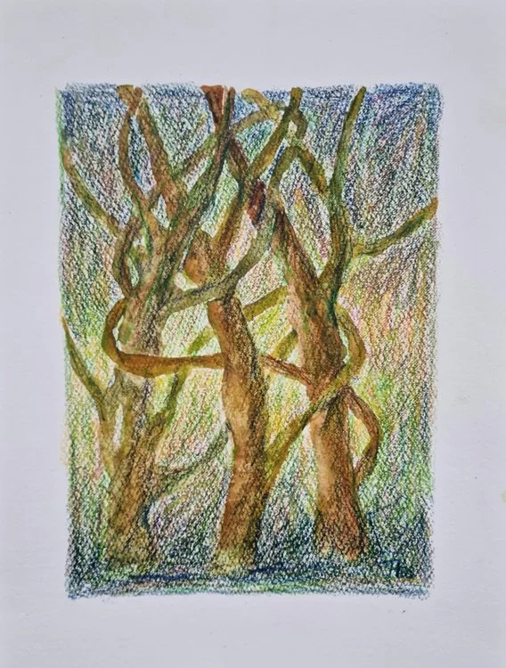 2023 serie: Zelfbescherming - (32x24cm)  aquarelverf, kleurpotlood op 300 gr aquarelpap